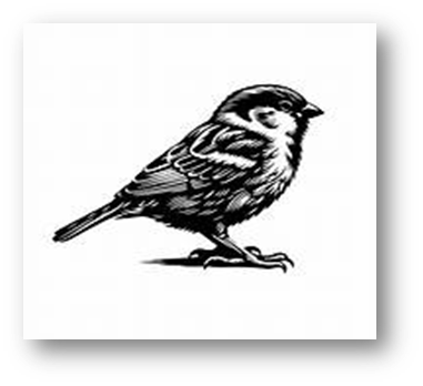 Inspired Little Wren